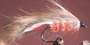 Rabbit Fly Orange