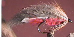 Rabbit Fly Red