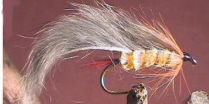 Rabbit Fly Yellow