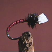 Midge Red