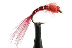 Rob's Redhead Bloodworm