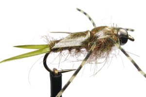 Rubber Stonefly GC Green TB