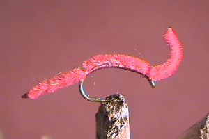 San Juan Worm