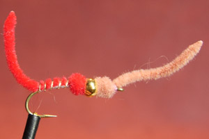 San Juan Worm BH