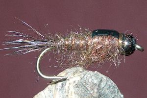 Seans Backcountry Bug TB
