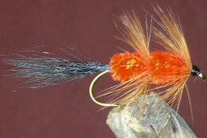 Red Setter