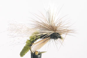 Spotlight Caddis Emerger