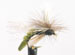 Spotlight Caddis Emerger