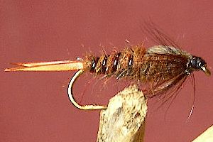 Stone Flies Brown GC