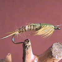 Stone Fly Carty's Green