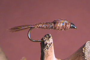 Pheasant Tail