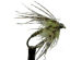 Submarine Soft Hackle Tungsten Olive