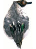 Teal Duck Complete Skin