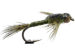 Thin Skin Nymph Tungsten Olive