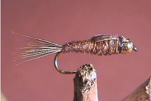 Pheasant Tail Gold Tungsten BH