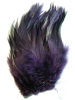 Strung Saddle Hackle Dyed Over Variant