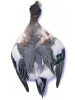 Widgeon Complete Skin