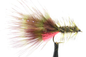Little Bugger - Olive & Peacock