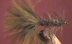Woolly Buggers Olive