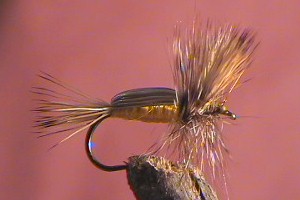 Humpy Yellow