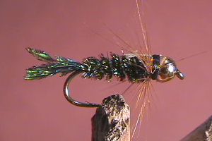 Zug Bug