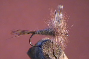 Adams Dry Fly