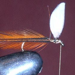 Wind the Hackle in next