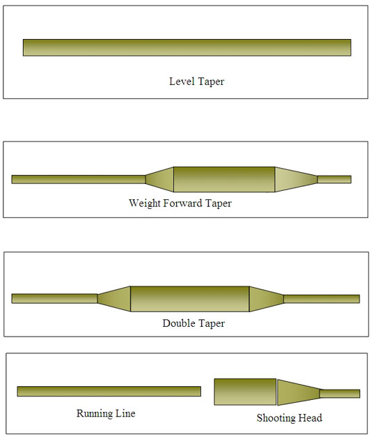 Fly Line tapers