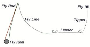 How to choose the right fly line to your fly rod What is the best fly line  for trout?