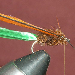 Trimed with the hackle ready to be wound