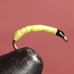 trimed with the hackle ready to be wound