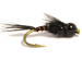 Two Bit Hooker Black X 2Tb