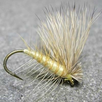 Elk Caddis Yellow