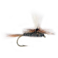 Adams Parachute