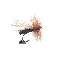 Foam Caddis Black