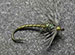 New Tricks Soft Hackle Olive