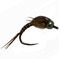 Jmc Nymph Brown