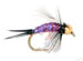 Purple Prince Gb