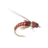 Little Brown Bug