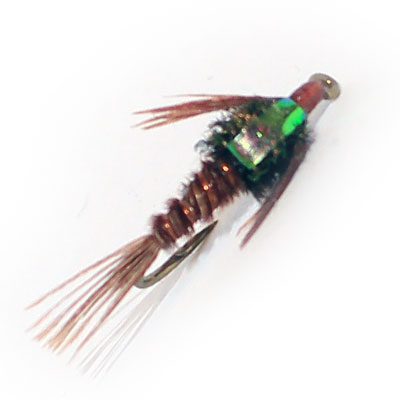 Taupo Nymphs