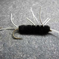 Girdle Bug 4