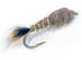 Gold Ribbed Hares Ear