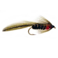 Matukas Olive (Dozens)