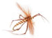Daddy Long Legs Conbas