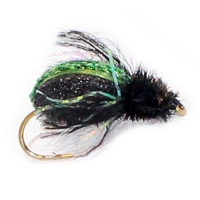 Beetle Green (Kiwi Fleetle)