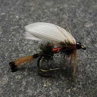 Wet Royal Coachman (Dozens)