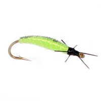 Caddis Larva Olive
