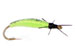 Caddis Larva Olive