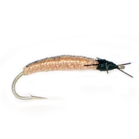 Caddis Larva (Dozens)