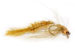 Hula Damsel Olive
